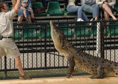 AUSTRALIA ZOO