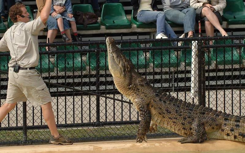 AUSTRALIA ZOO