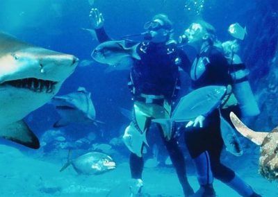 UNDERWATER WORLD